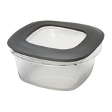 Premier Easy Find Lids 5-Cup Food Storage Container, Grey