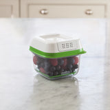  FreshWorks Produce Saver Food Storage Container, Small Square, 2.5 Cup